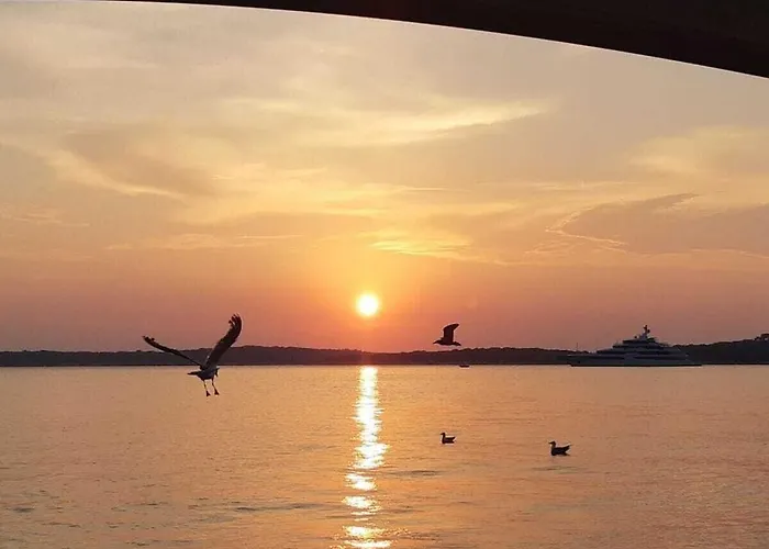 In With Swimming Pool