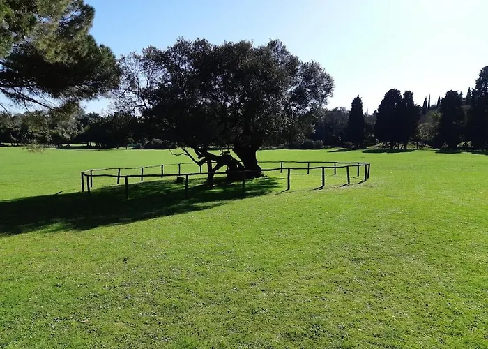 In Pula With Swimming Pool * Pula